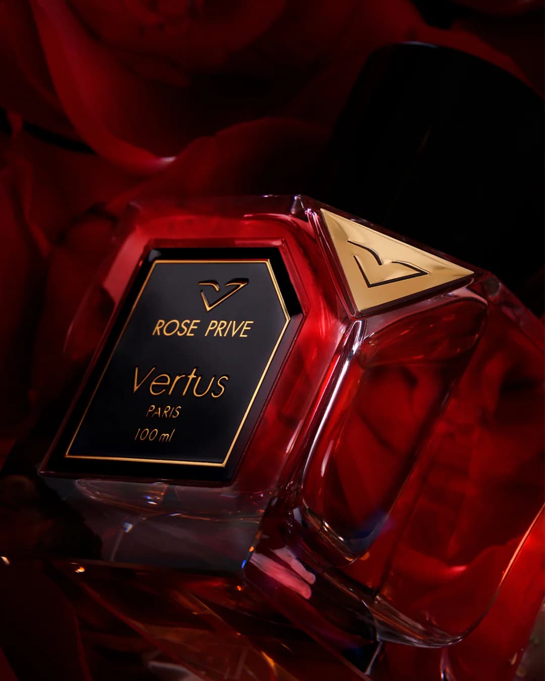 https://images.vertus.online/vertus/1-01JNE0FA221M0T2C0CNKS2TWXX.webp