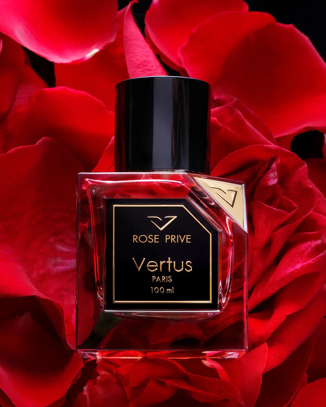 https://images.vertus.online/vertus/3-01JNE0FA23PF947852ET9TPVHG.webp