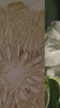 VERTUS BUILDS ITS FRAGRANCE UNIVERSE AROUND THE LAYERS OF THE EARTH.
